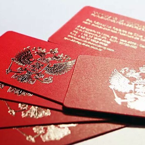 Folded Brochure & Silver Hot Stamping